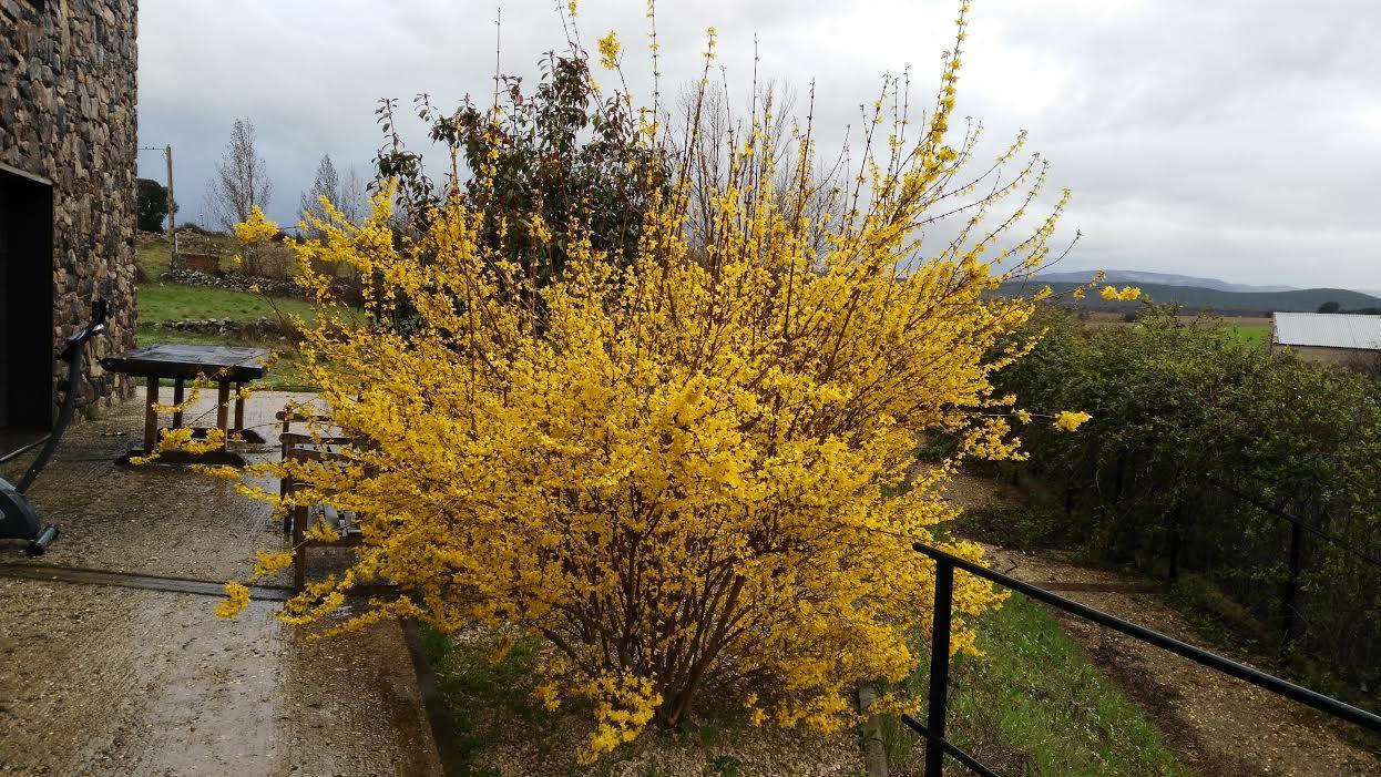 Los Sestiles Garray Dış mekan fotoğraf